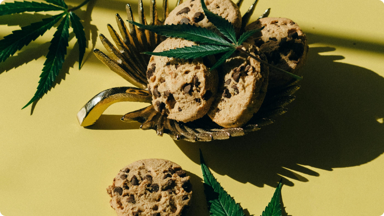 Chocolate chip cookies in a decorative dish on a yellow surface, surrounded by cannabis leaves.